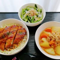 デミカツ丼＆ツナ大根・胡瓜と水菜おかかポン酢